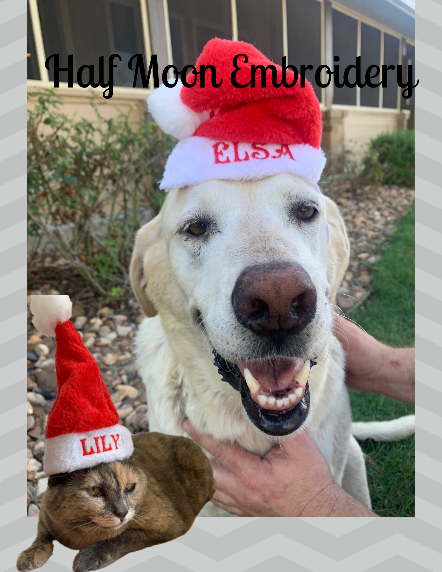 Personalized Pet Santa Hats