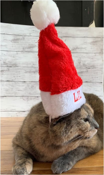 Personalized Pet Santa Hat